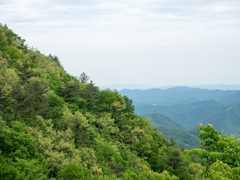 P5190017