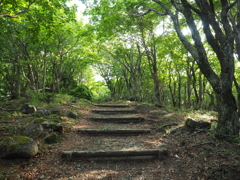 P6170030