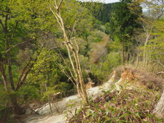 P4300042
