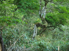 P6170049