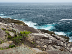 P5270254