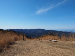 P2193831
