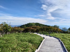 P7080106f