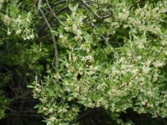 P5190011