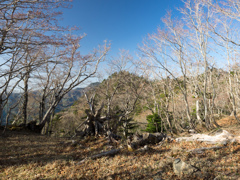 P4290067