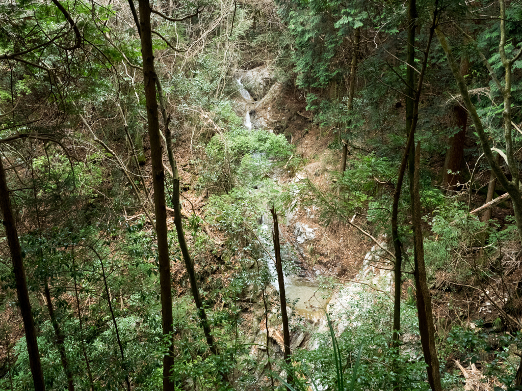 P1042647
