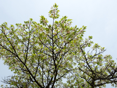 P4300088