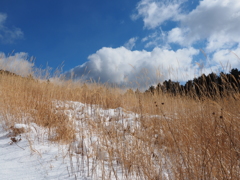 P2123625