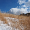 P2123625