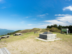 P4270191