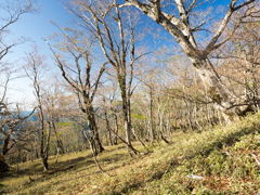 P4290045