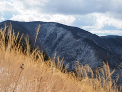 P2123639