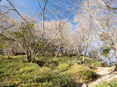 P4290041