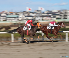 浦和競馬場にて・・・
