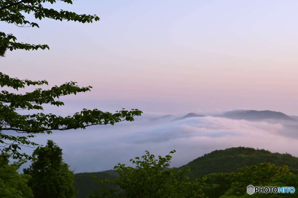 天城からの雲海