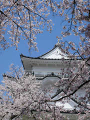 小田原城
