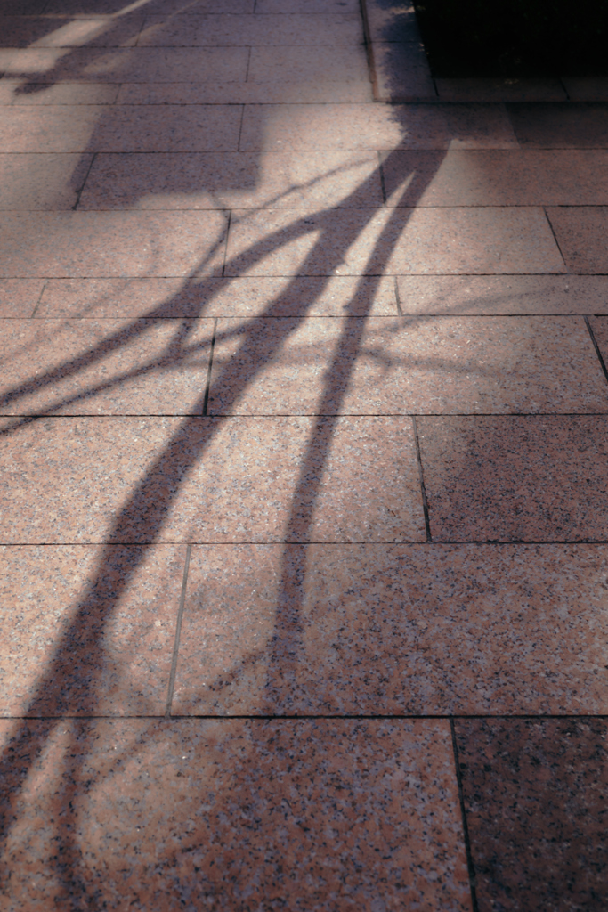 Licht unt schatten