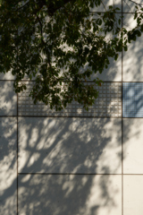 Licht unt schatten