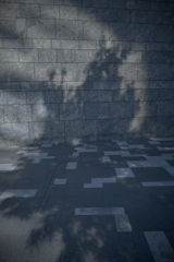 Licht unt schatten