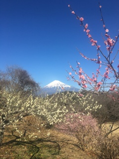 岩本山公園にて