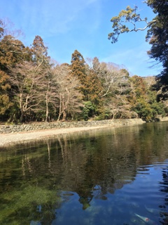 五十鈴川にて
