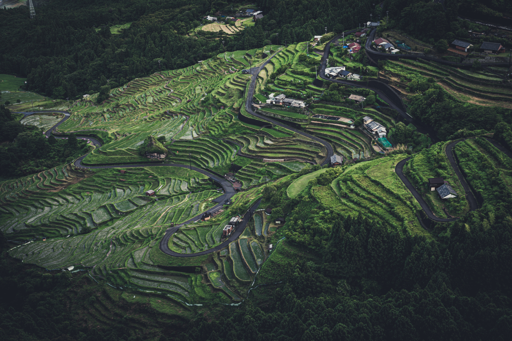 棚田