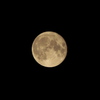 月　その１