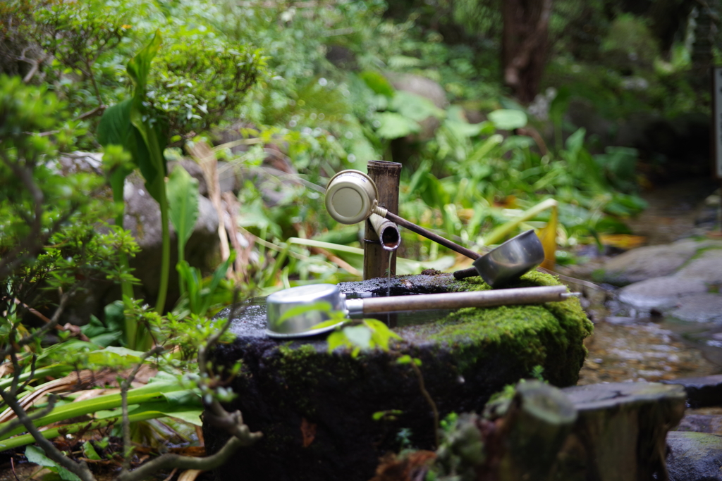 旅行中の散歩　その３