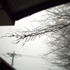 初雪、初一眼レフ　その２