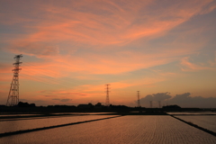 2017-05-06花野井付近田んぼ夕景