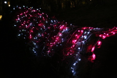 Mediocre illumination.2