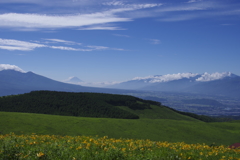 高原と富士