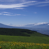 高原と富士
