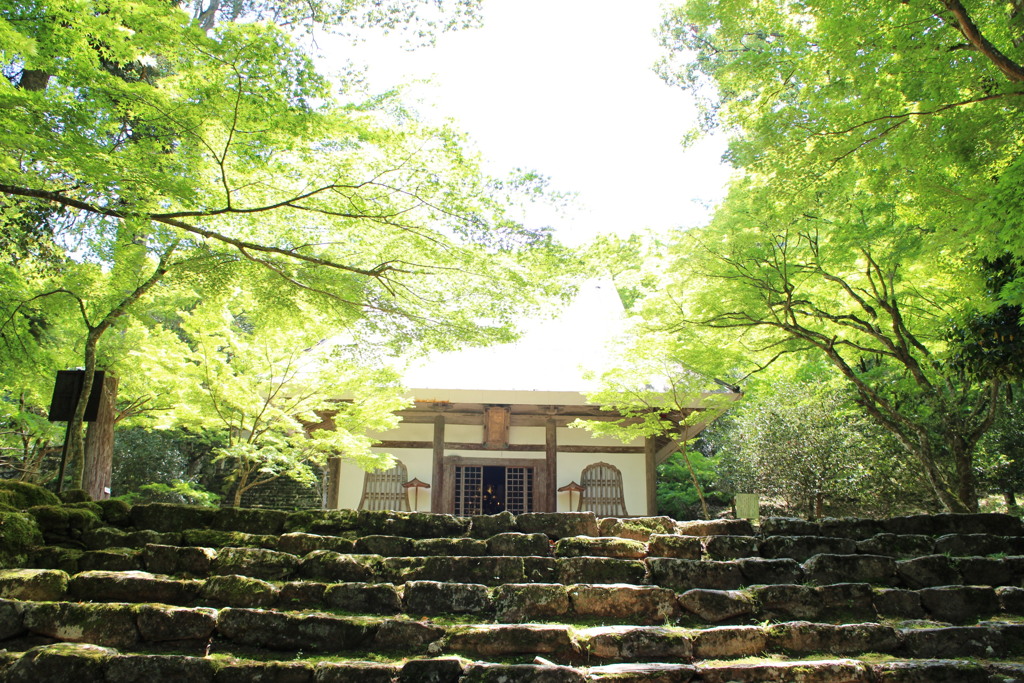 高源寺①