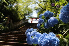 丹生官省符神社