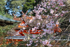 積川神社