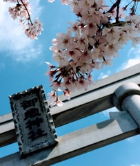 葛木御歳神社