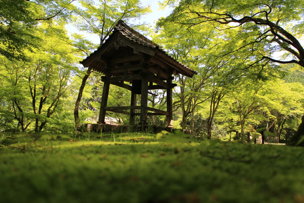 高源寺②