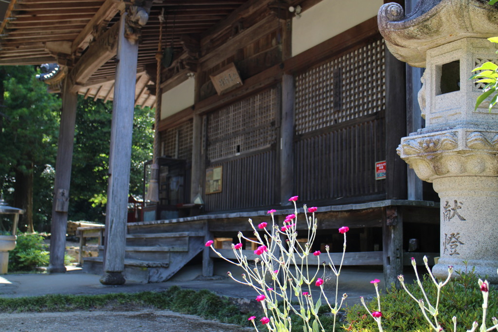 大澤寺②（奈良県五条市）