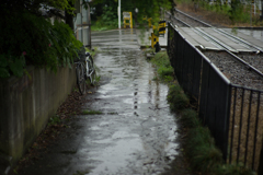 雨音だけ。