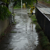 雨音だけ。