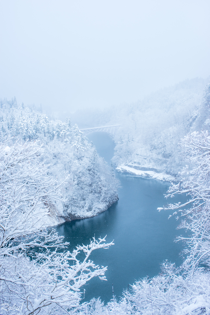 白銀の架け橋