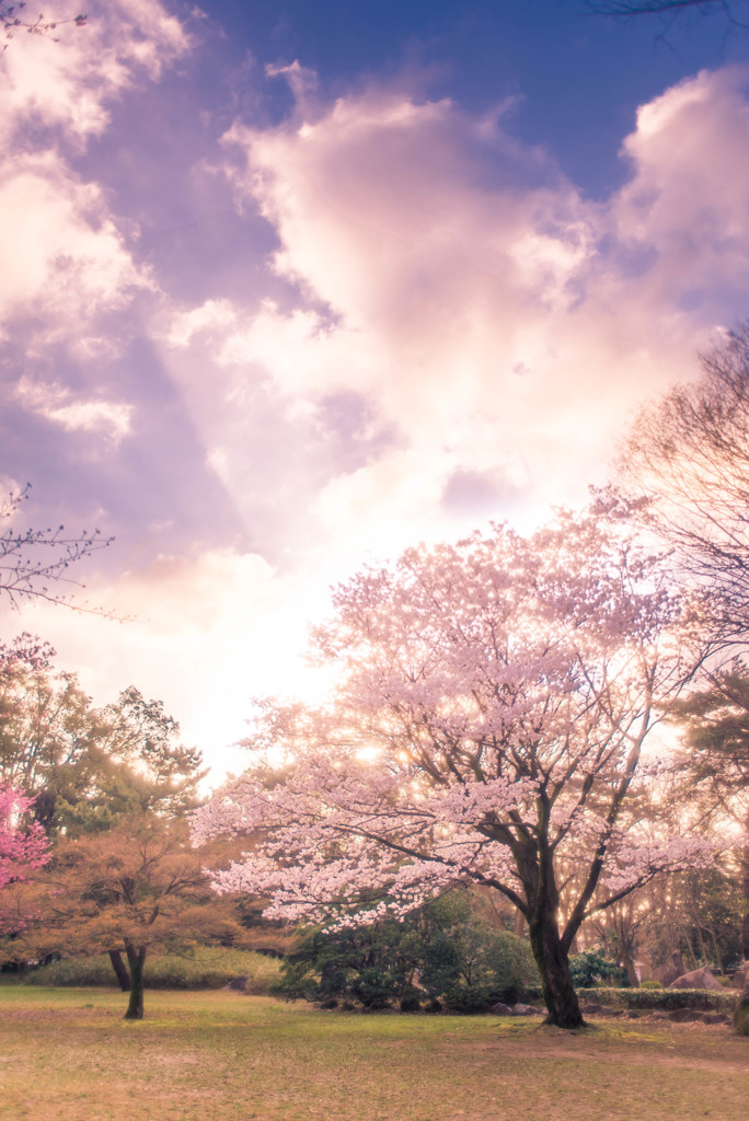 空と桜