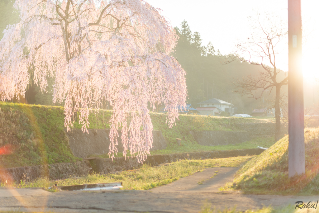 朝を迎える