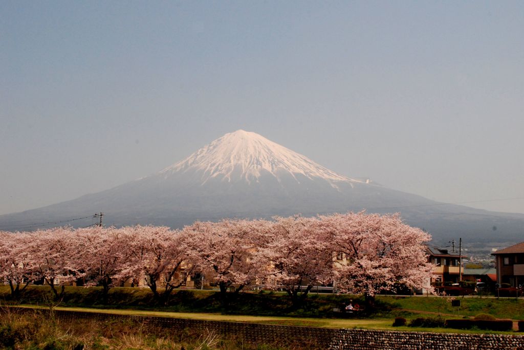 富士宮　潤井川河川敷