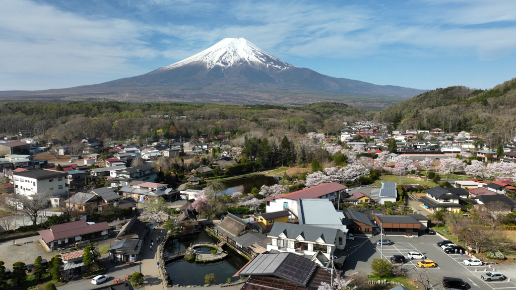 Mt. Fuji 忍野八海・池本『中池』2024年4月20日MAVIC3_390