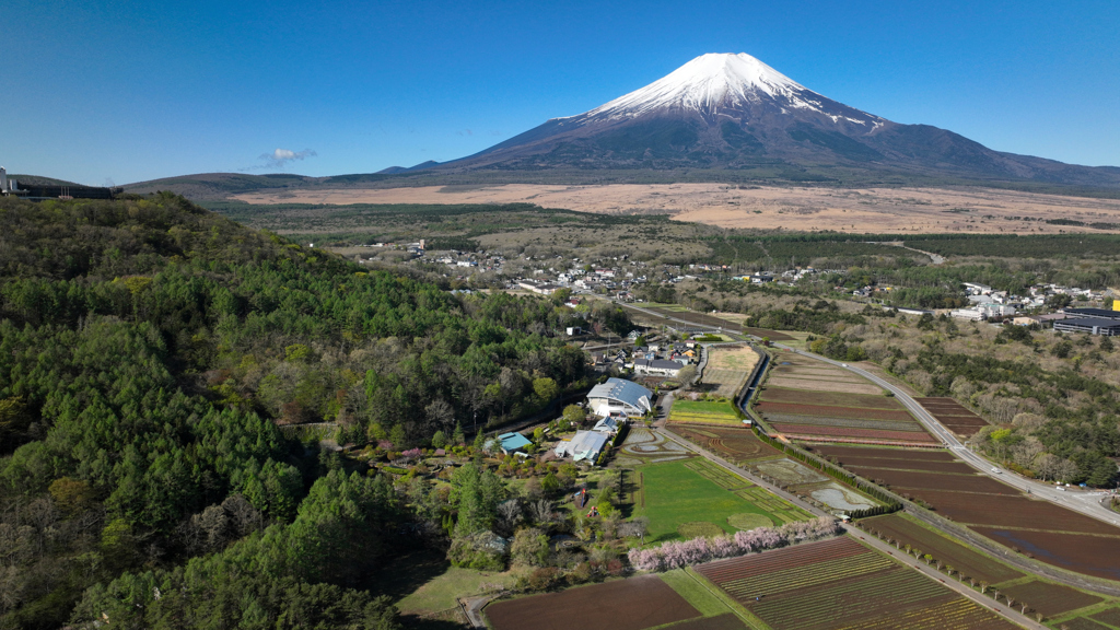 忍野富士-枝垂桜・2023年4月27日 DJI MAVIC3_CL