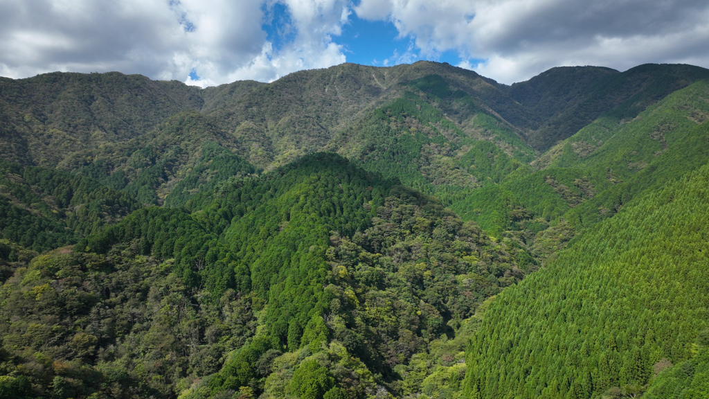 丹沢山地・鍋割山 2023年10月7日 DJI_MAVIC3_0235_ｎ