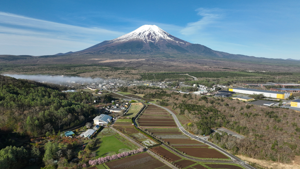 Mt. Fuji 山中湖 花の都公園・全景 2024年4月26日_0524n