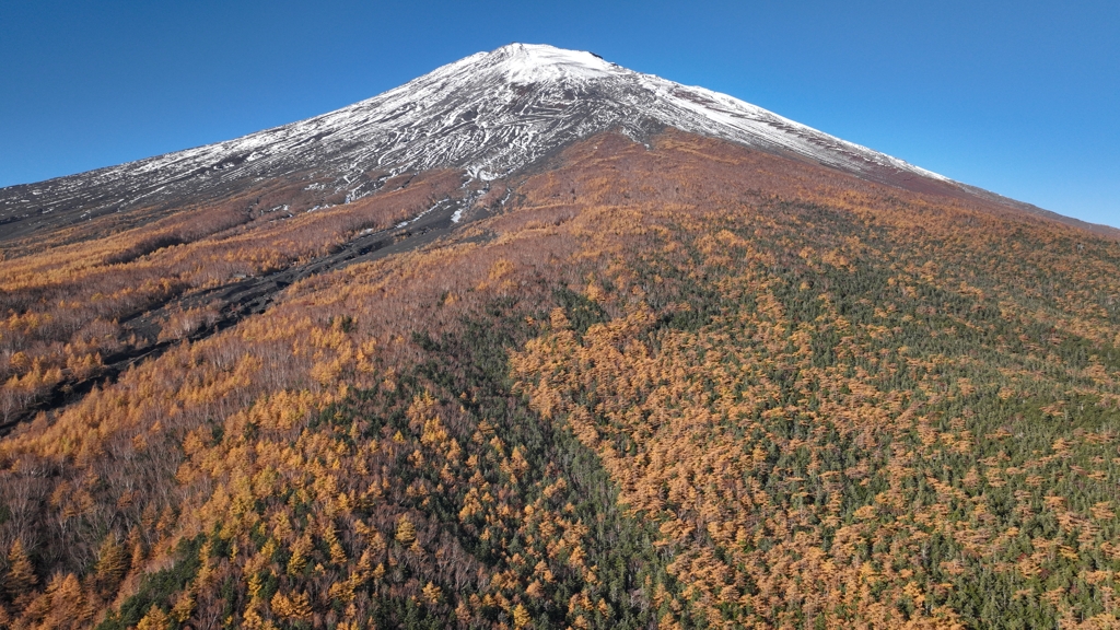 Mt.Fuji 富士須走森林限界2023年11月2日DJI_MAVIC3_292